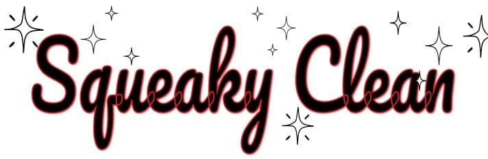 Squeaky Clean temp logo 