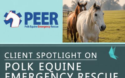 Client Spotlight on PEER